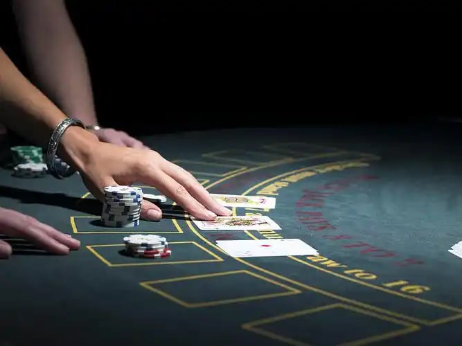 koin55 login Microgaming live blackjack table with professional dealer and high-definition stream